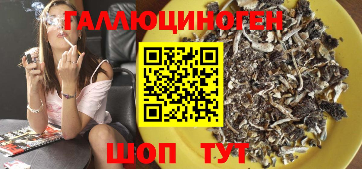 Моршанск  Псилоцибиновые грибы Cubensis  Вход с VPN  Псилоцибиновые грибы мицелий 